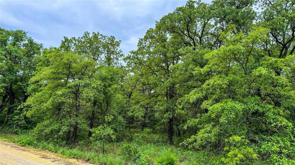 Nocona Hills - Land