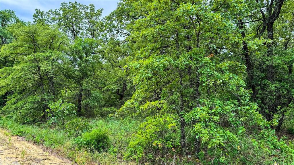 Nocona Hills - Land