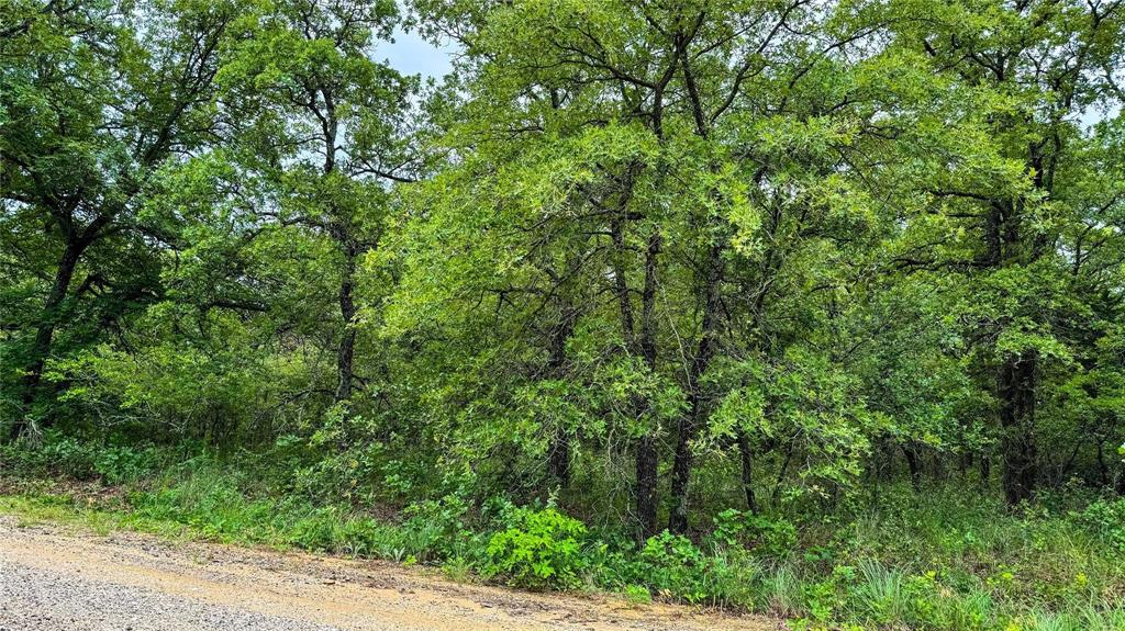 Nocona Hills - Land