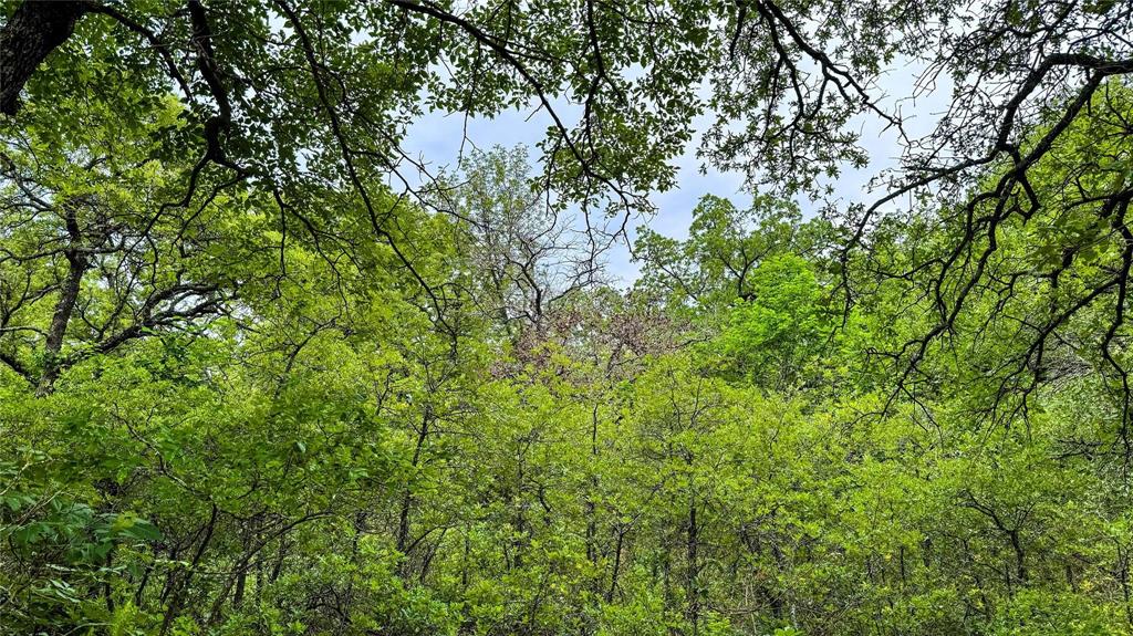 Nocona Hills - Land