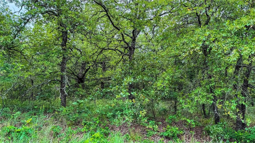 Nocona Hills - Land