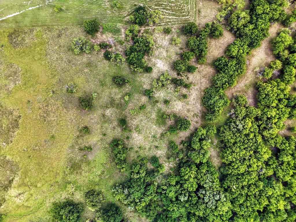 Longview Creek Ranch - Land
