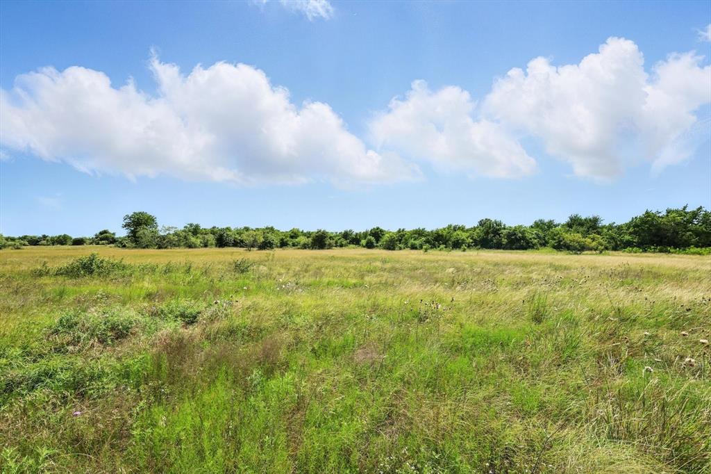 Longview Creek Ranch - Land