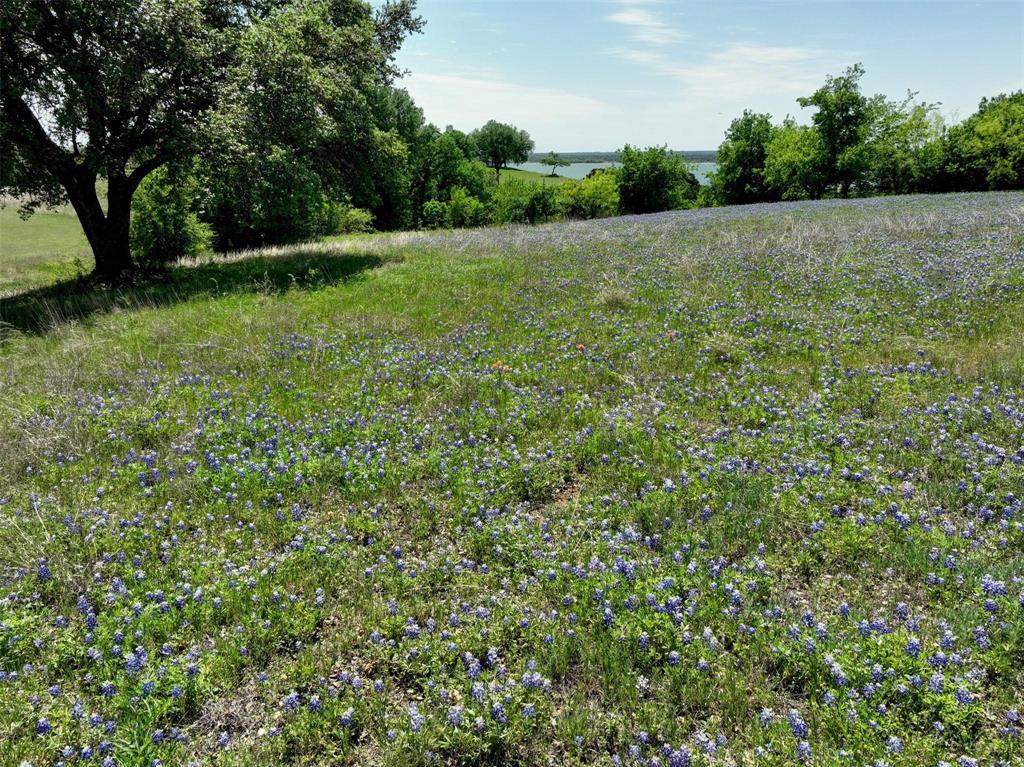 White Bluff #10 - Land