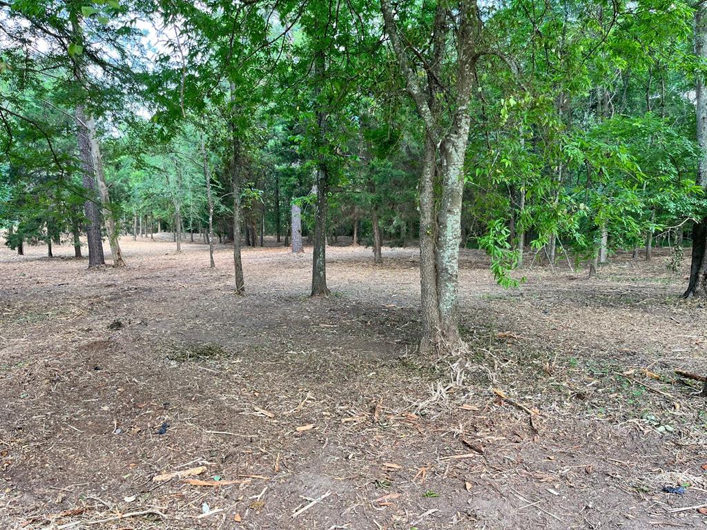 Waters Edge Ranch - Land