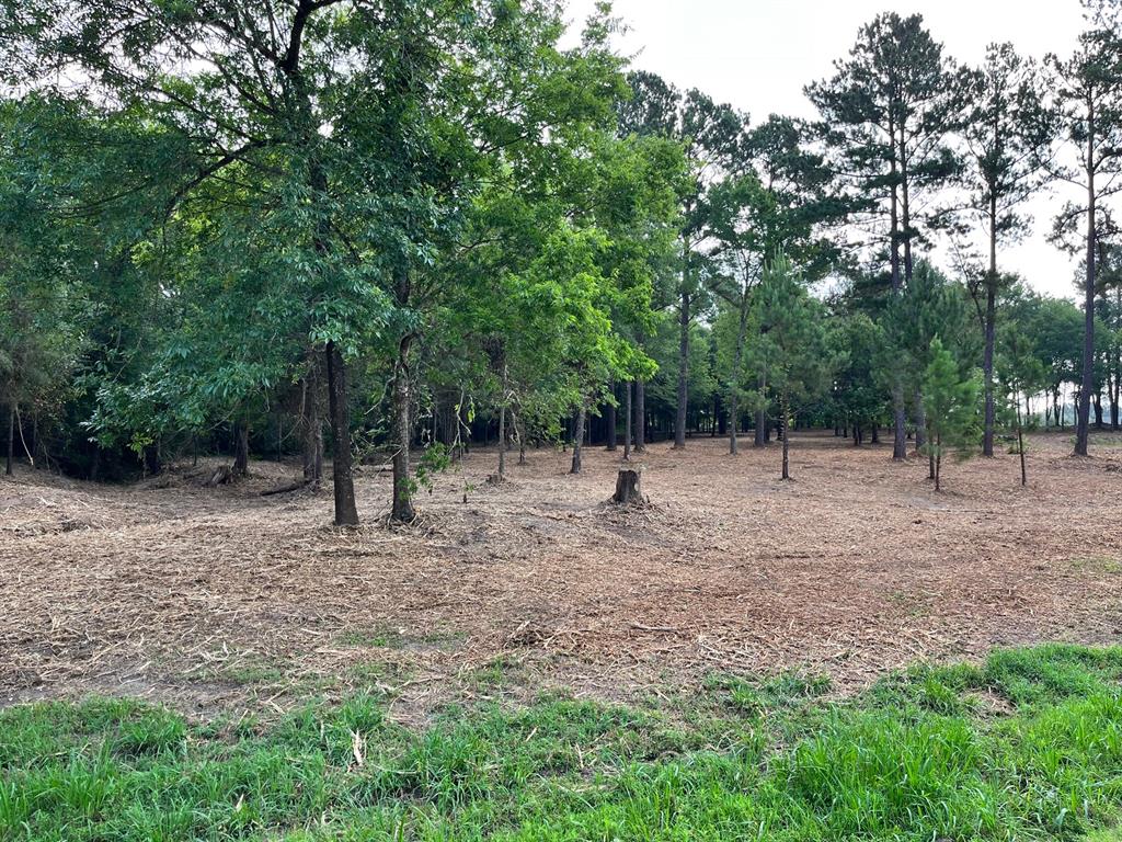 Waters Edge Ranch - Land