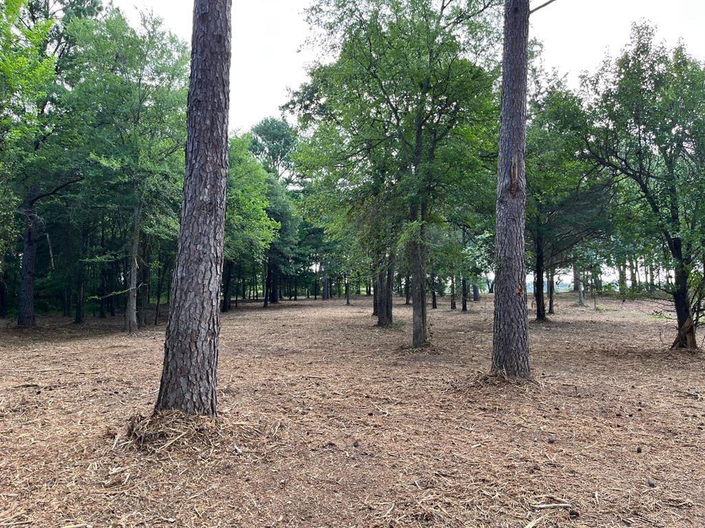 Waters Edge Ranch - Land