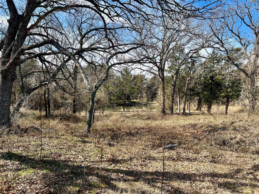 The Ranches of Blackjack Meadows - Land