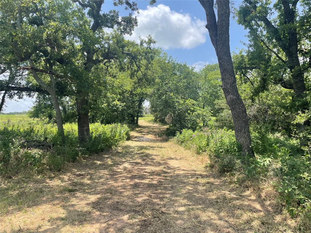 The Ranches of Blackjack Meadows - Land