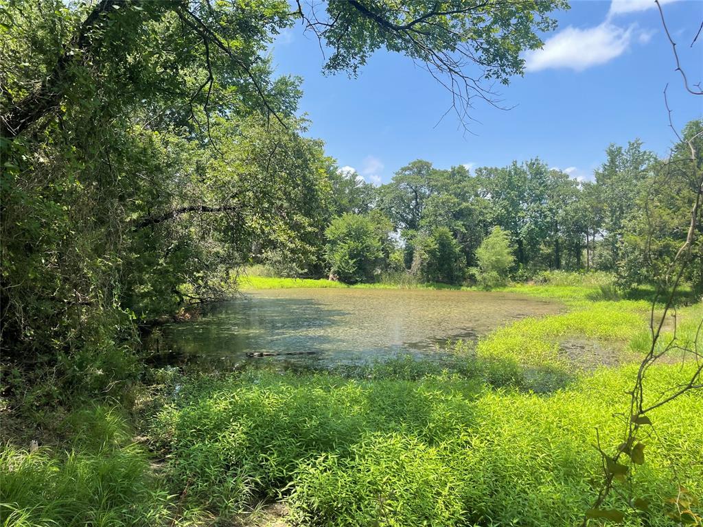 The Ranches of Blackjack Meadows - Land
