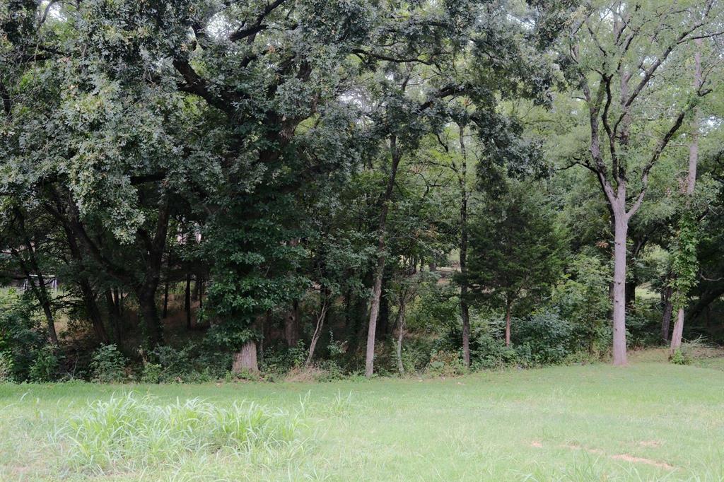 Lake Ridge Sec 17 - Land