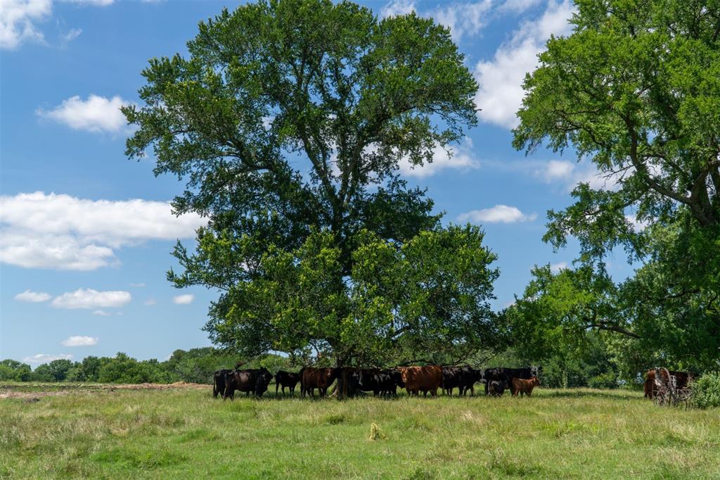 G-0326 DUGAN GEORGE G A-G0326, ACRES 42.3 - Residential