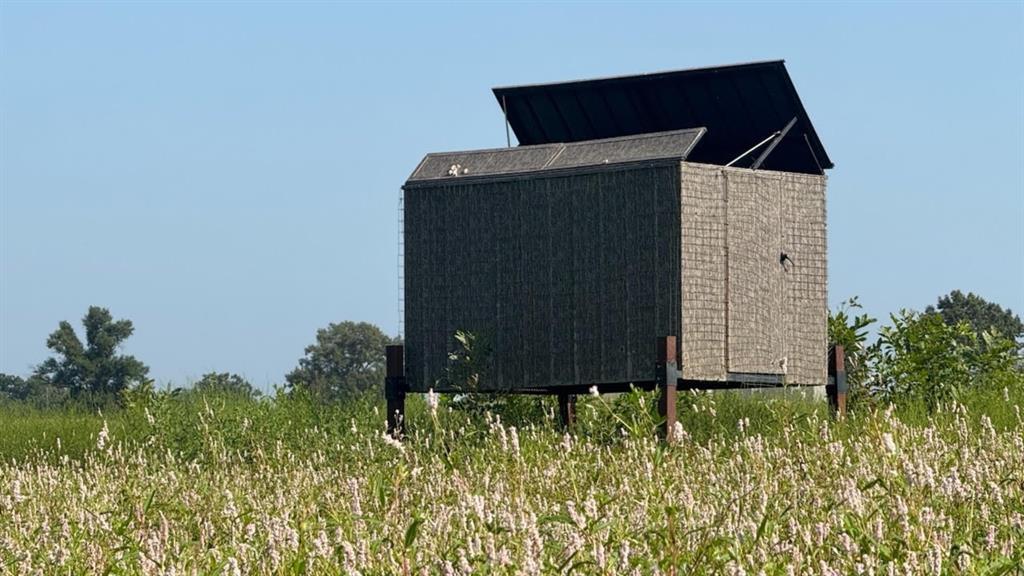 Ranch - Residential