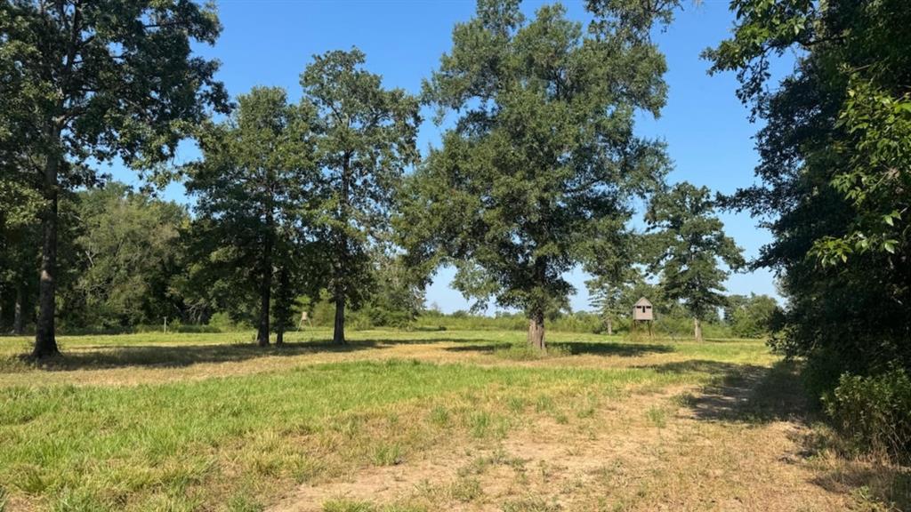 Ranch - Residential