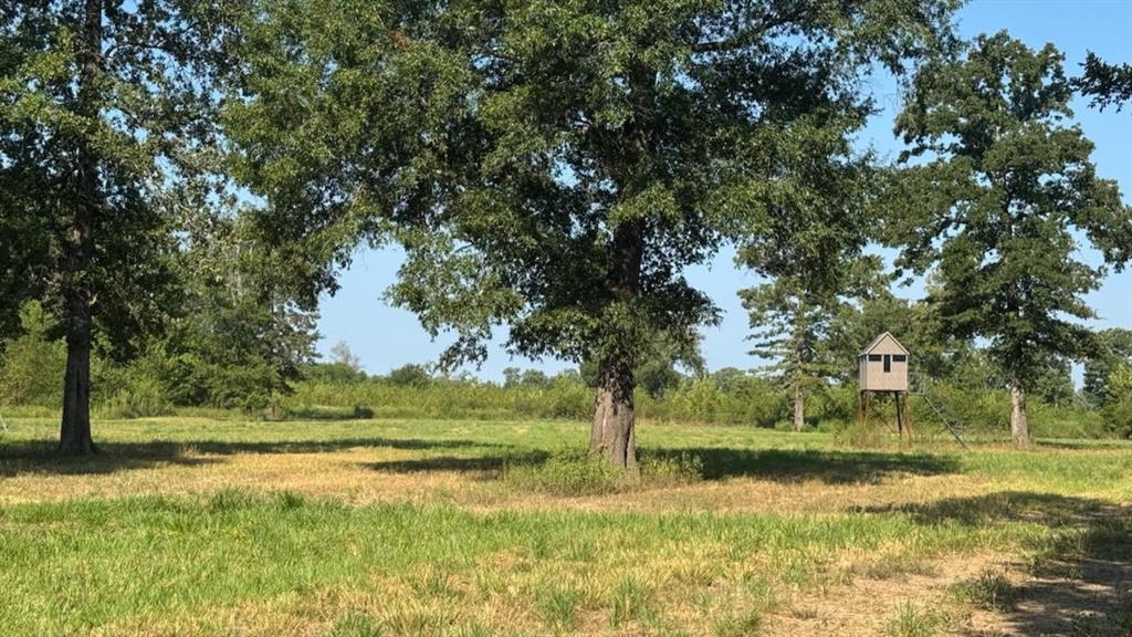 Ranch - Residential