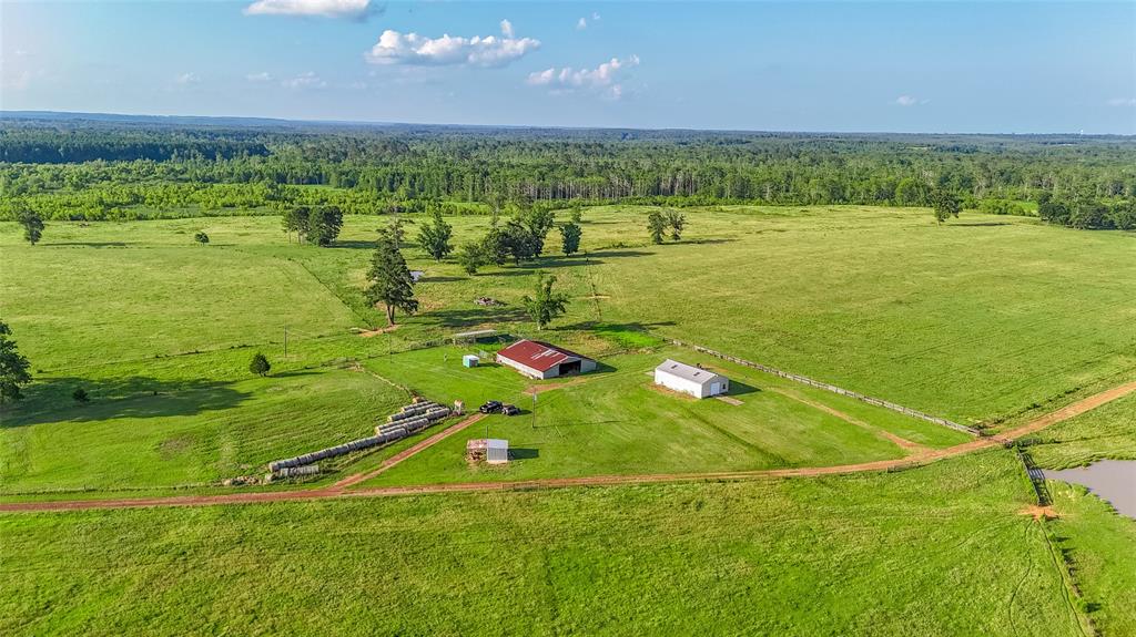 Carter Cannon Headright Sulvey - Farm