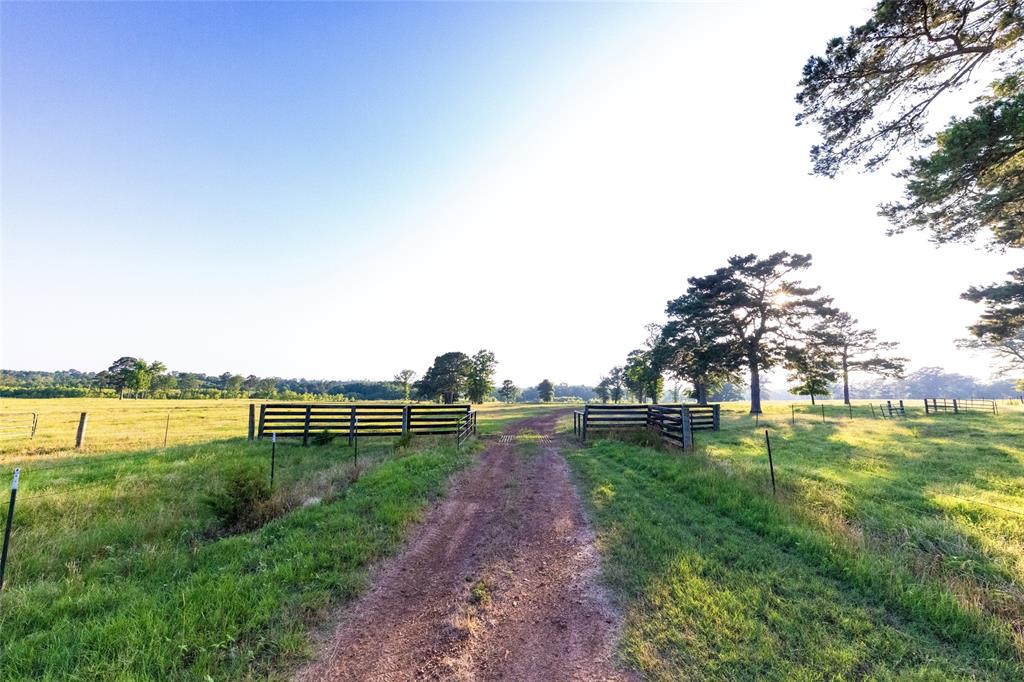 Carter Cannon Headright Sulvey - Farm