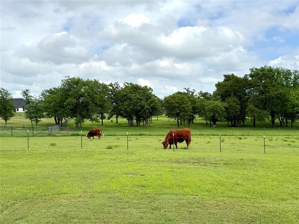 Oak Tree Ranch Estates - Residential