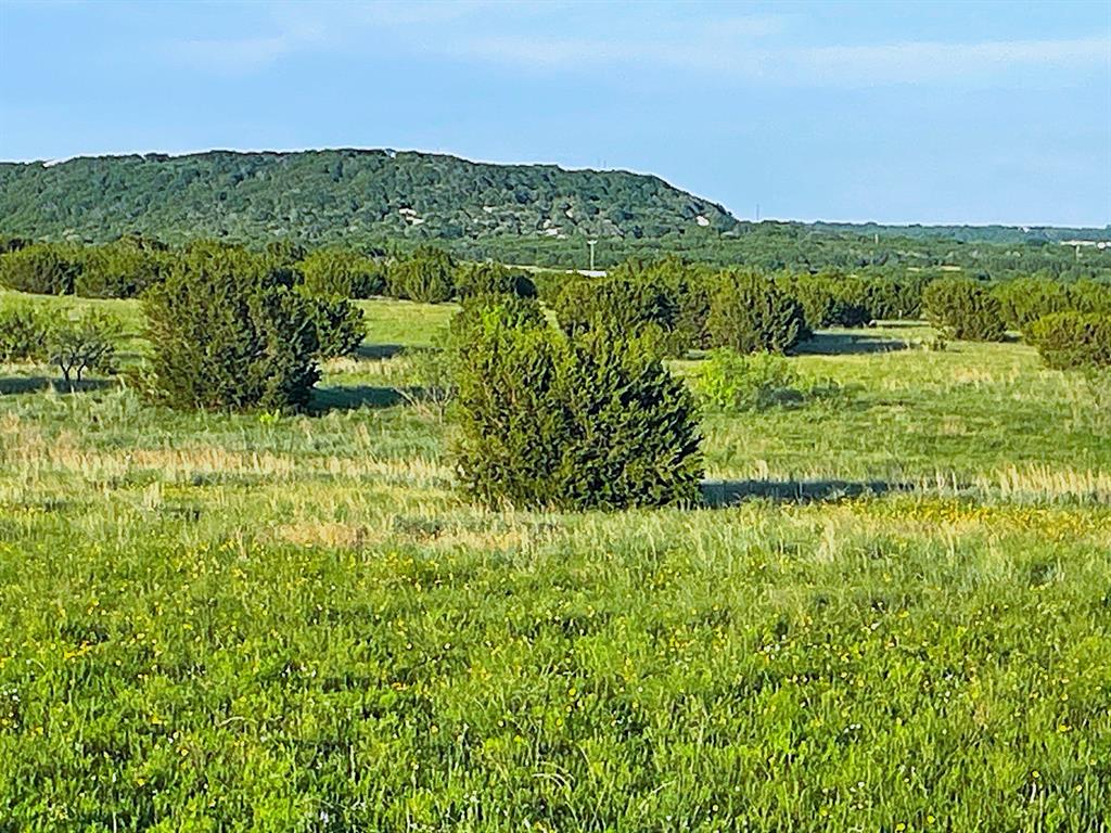 Lone Mountain - Land