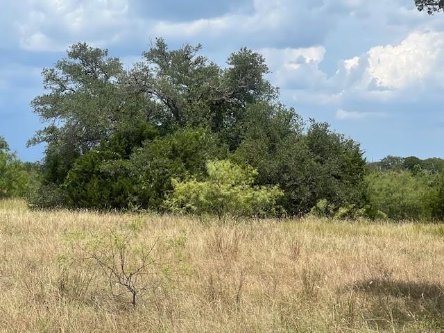 THIS IS A VERY NICE LEVEL LOT CLOSE TO THE BLUFFS. INCLUDES TRANSFERRABLE GOLF MEMBERSHIP AND FULL ACCESS TO ALL RESORT AMENITIES WHICH INCLUDE POOLS ,TENNIS,PICKLE BALL,ETC NOT LAKE FRONT BUT VERY CLOSE TO THE BLUFFS. A VERY NICE AND PEACEFUL PLACE TO CALL HOME. ABUNDANT WILDLIFE AND A TRANQUIL PLACE TO BE.