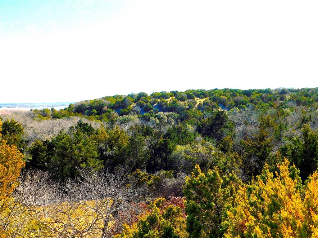 Johnson - Land