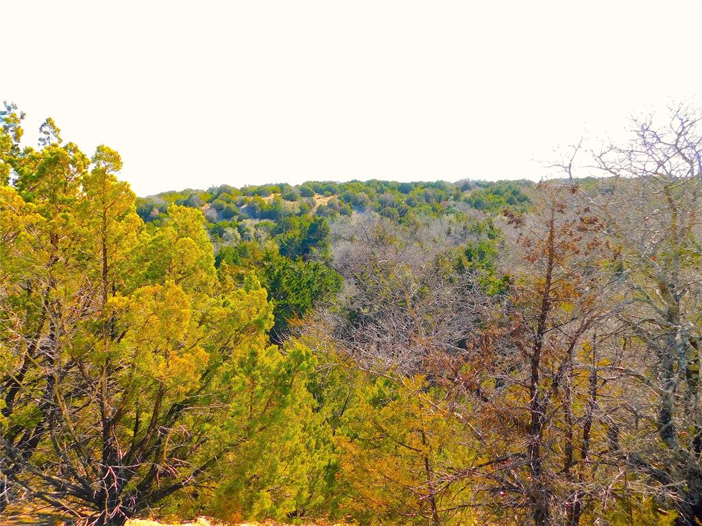 Johnson - Land