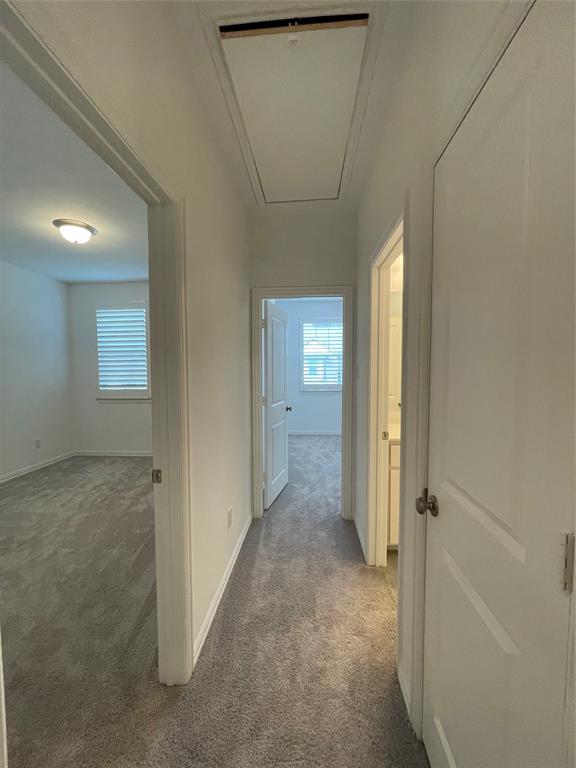 The Station Phase I - Residential Lease