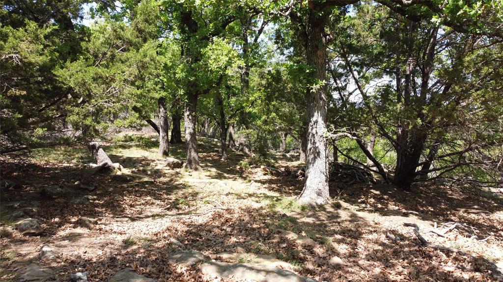 7R Ranch Glidewell Surv #2 - Land