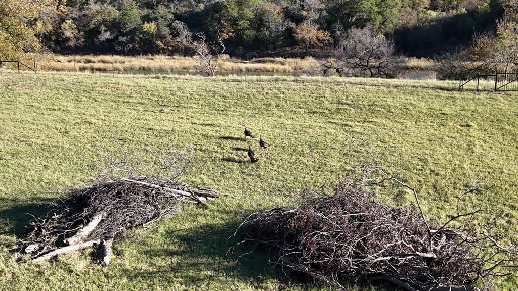 BRAZOS MOUNTAIN VALLEY RANCH - Land