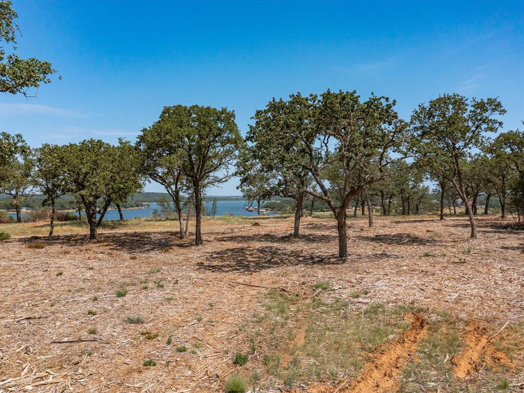 Carter Heights - Land