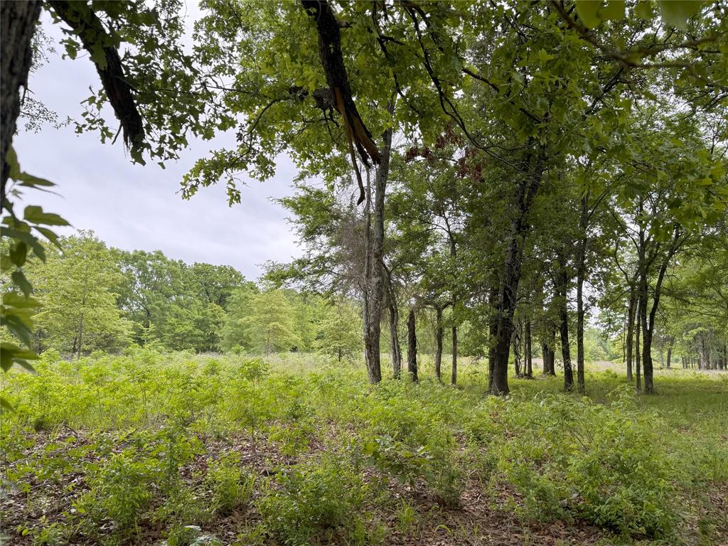 Saddle Creek Ranch - Land