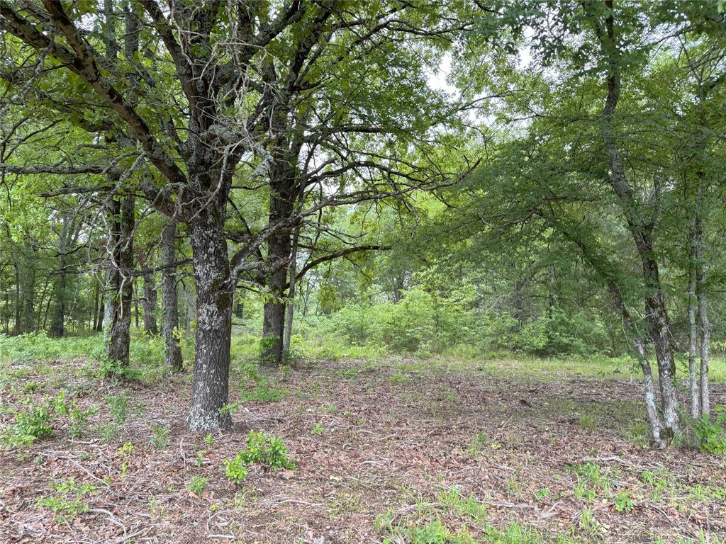 Private 10.01 Acres in Alba, TX --Ag Exempt--Room to Roam + Lake Life Nearby

If wide-open space, big skies, and country quiet speak to your soul—this 10.01-acre wooded property in Alba, Texas is ready to meet you there.

Tucked off the beaten path, this land offers a peaceful, tree-covered setting perfect for a weekend escape, small ranch, or your forever home. Build a cozy cabin or dream farmhouse—there’s plenty of room to stretch out and make it truly your own.

 Bring the horses and livestock (just no pigs or peacocks), Electricity is at the road, Septic and well will be needed (buyer to verify water availability), Already Ag Exempt for lower taxes

Love the lake life? You’ll be just a short drive from Lake Holbrook, Lake Tawakoni, and Lake Fork, giving you quick access to boating, fishing, and outdoor fun whenever the mood strikes.

And when it’s time for errands or a night out, you’re less than an hour from both Tyler and Greenville—so convenience is still within easy reach.

If you’ve been waiting for the right piece of land to build a slower, simpler life—this might be the one.

BUYER AND BUYERS AGENTS TO VERIFY ALL INFORMATION IS THIS LISTING FOR ACCURACY.