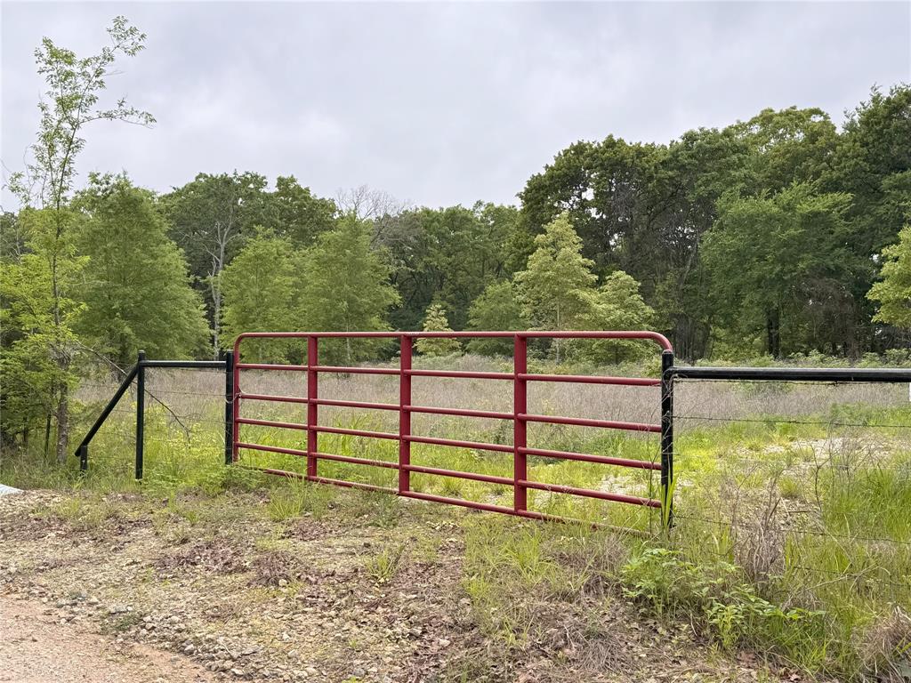Saddle Creek Ranch - Land