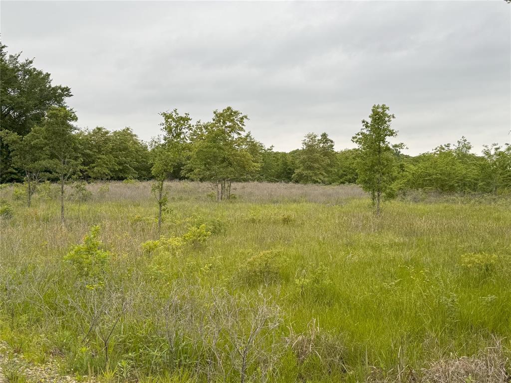 Saddle Creek Ranch - Land