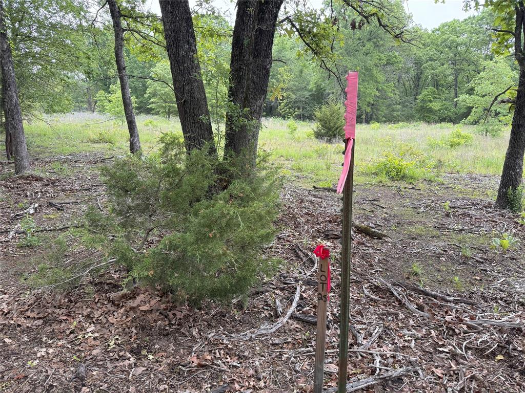 Saddle Creek Ranch - Land