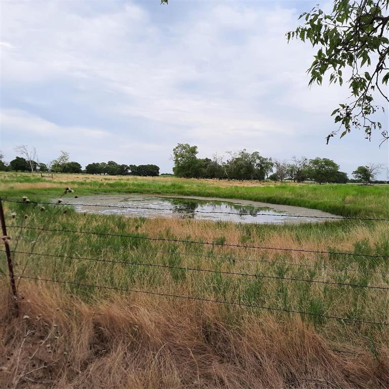 R Pena - Farm