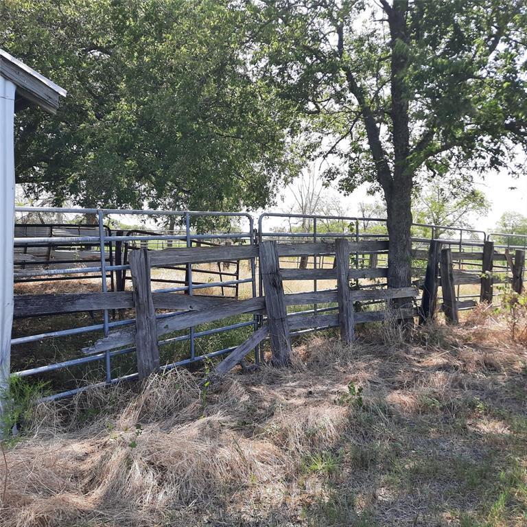R Pena - Farm
