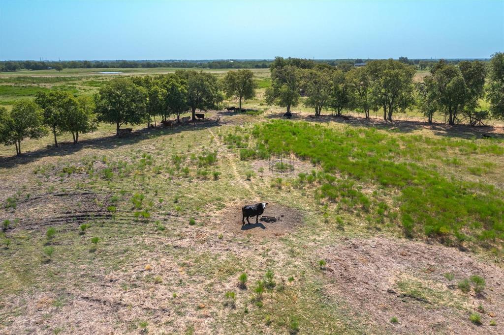 R Pena - Farm