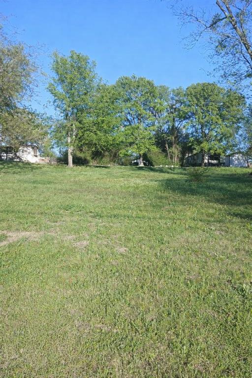 Great opportunity to own a .22-acre residential lot in Gun Barrel City with water meter already installed and sewer available. Located in an established area, this lot provides convenience to Cedar Creek Lake, shopping, dining, and local amenities. Tamarack has several large parks, a meeting hall, fishing pier and boat ramp and is one of the few neighborhoods in Gun Barrel City to enjoy a community swimming pool. Whether you're looking to build now or invest for the future, this property has great potential. Priced to sell - Don't miss this great opportunity.