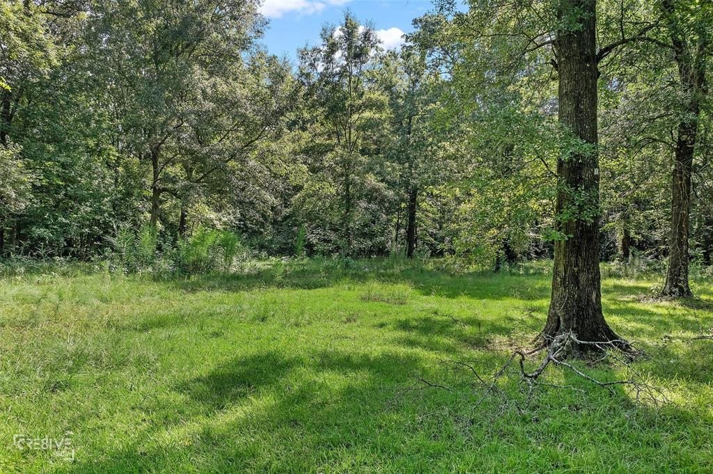Rural - Land