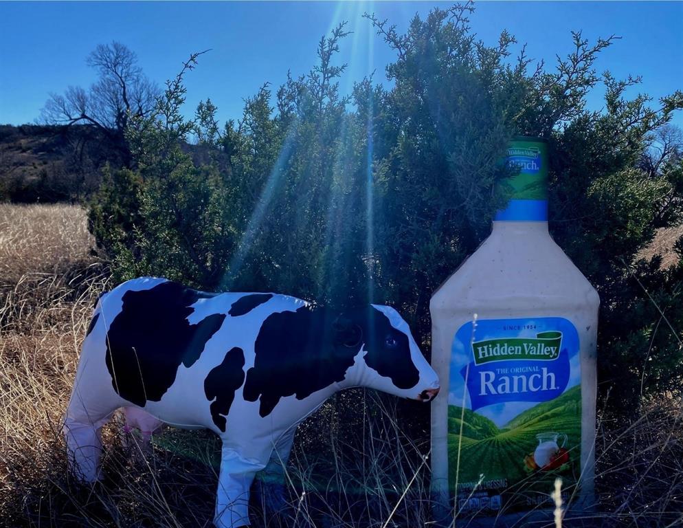 Hidden Valley Ranch - Land