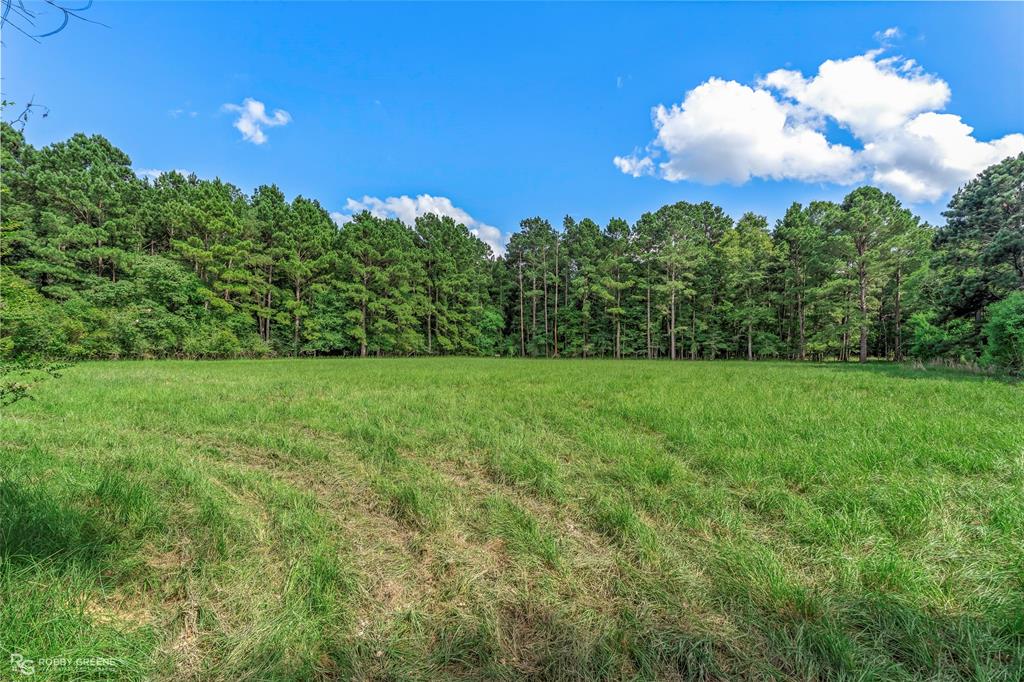 Bistineau Farms - Residential