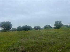 White Bluff #42 - Land