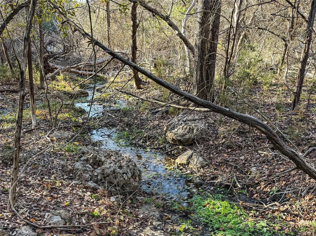 Green G - Land