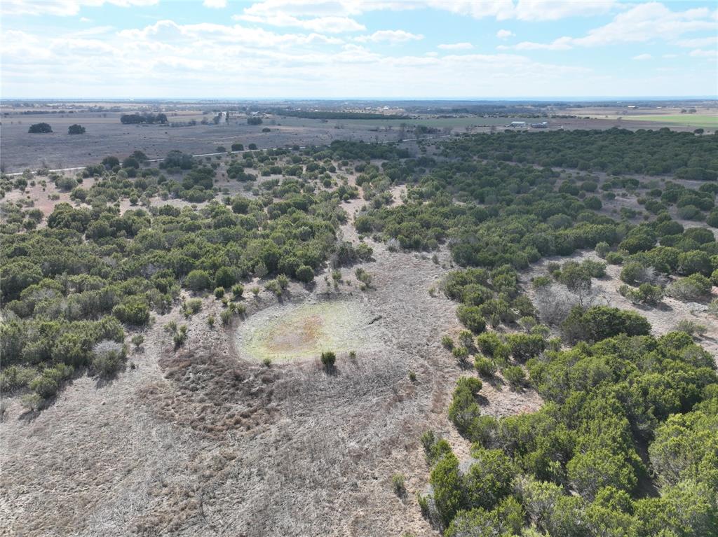 Reed Louisa Survey - Land