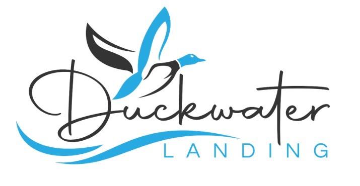 Duckwater Landing - Land