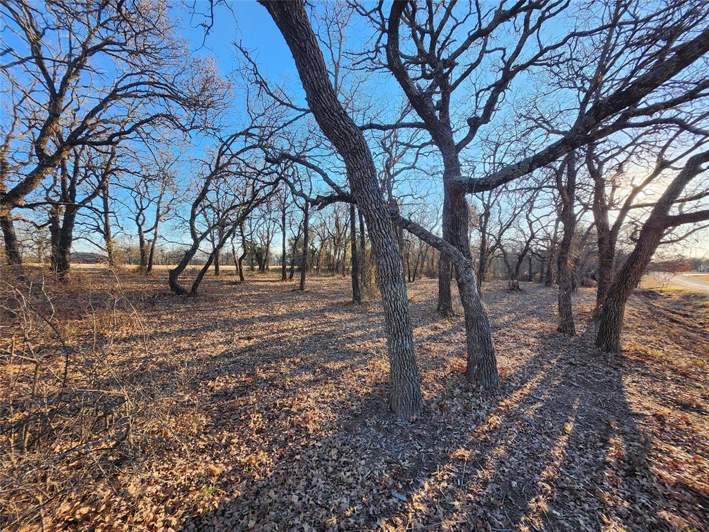 Nocona Hills - Land