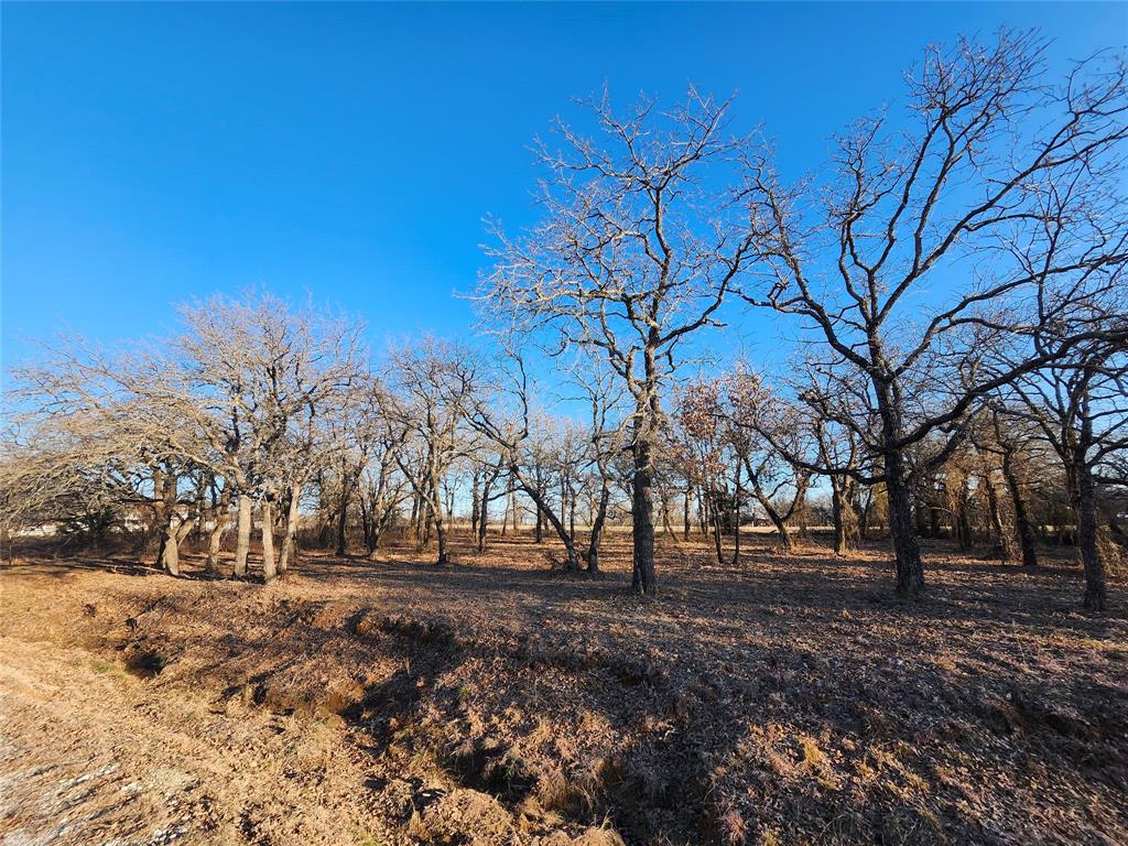 Nocona Hills - Land