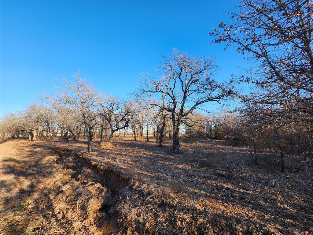 Nocona Hills - Land
