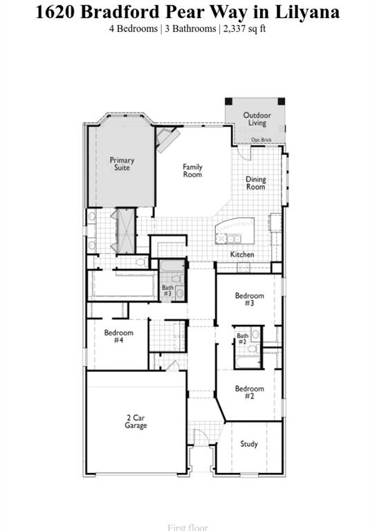 Lilyana - Residential